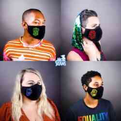 Hogwarts House Face Mask