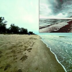 Captiva Storm Options