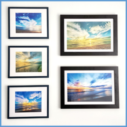 MPatrick Photography